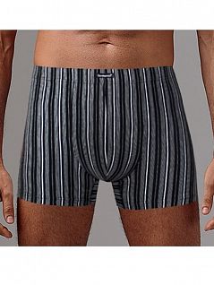Полосатые боксеры из хлопка Gentlemen SIGS7239 черный/голубая полоса